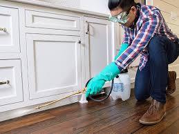 Best Pest Control for Multi-Family Homes  in Berkeley, CA